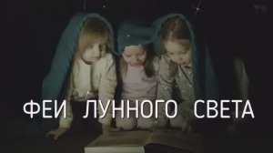 Феи лунного света I Студия Звездный Дождь