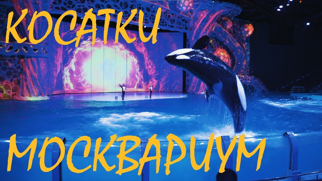 МОСКВАРИУМ - КОСАТКИ | Sony A7III | Tamron 28-75mm f/2.8 | HLG-1 |