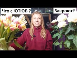 Ютюб закроют? Мы потеряемся?) Отвечаю на вопрос.