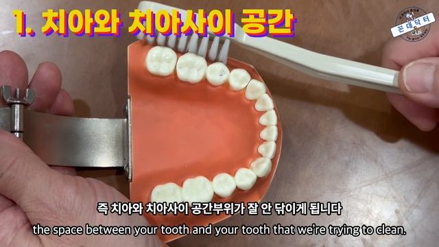칫솔질의 정석! 왜  바스법 칫솔질로 양치질 해야 하는지 올바른 칫솔질 방법을 차근차근 알려드립니다  #치과의사 #칫솔질 #칫솔질방법 #양치질