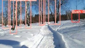YOLOv5 Детекция стволов деревьев и кустов