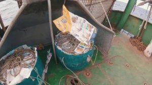 Ярусная хребтина на треску