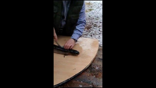 Архив рыбалка на охоте 01.11.23.г. смотреть онлайн