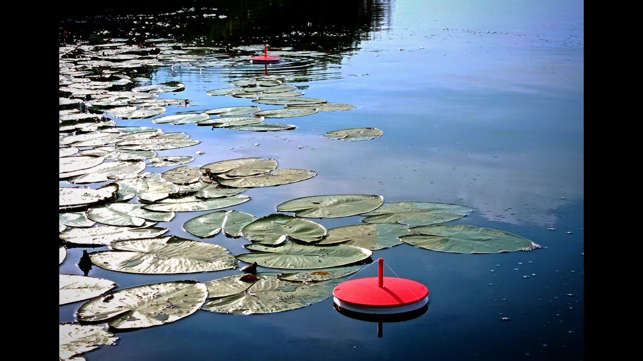 Рыбалка на КРУЖКИ(летние жерлицы)кружки на щуку смотреть онлайн