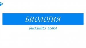 10 класс - Биология - Биосинтез белка