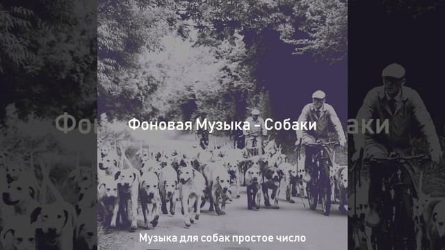 Моменты (Щенки) смотреть онлайн