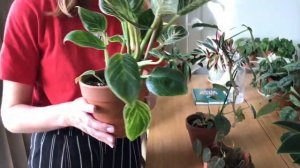 В гостях у моего друга