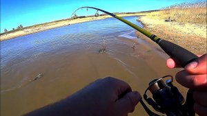 ВОТ ЭТО Я СХОДИЛ НА РЫБАЛКУ!РЫБА НА КАЖДОМ ЗАБРОСЕ#рыбалка2023 #fishing