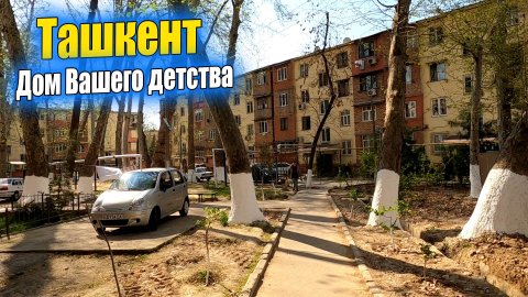 ЧИЛАНЗАР 6, ТЕАТР ОПЕРЕТТЫ, АЛГОРИТМ #узбекистан #ташкент #дом #сегодня