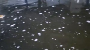 Влияние системы озонирования