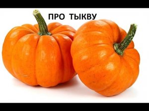 Про тыкву.