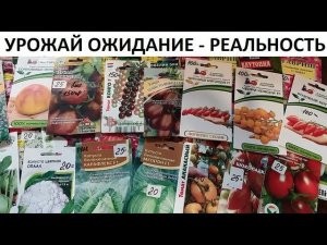 Урожай 2021 ОЖИДАНИЕ - РЕАЛЬНОСТЬ.