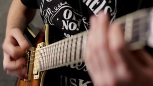 Pantera - I'm Broken (Cover by Vladimir Shevyakov)