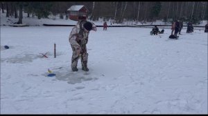 Рыбалка на Нижнем. Клёвое место Лосиный остров