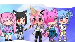 || meme || (кошка лана) (подписчики)