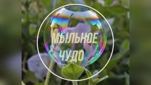 Мыльное чудо