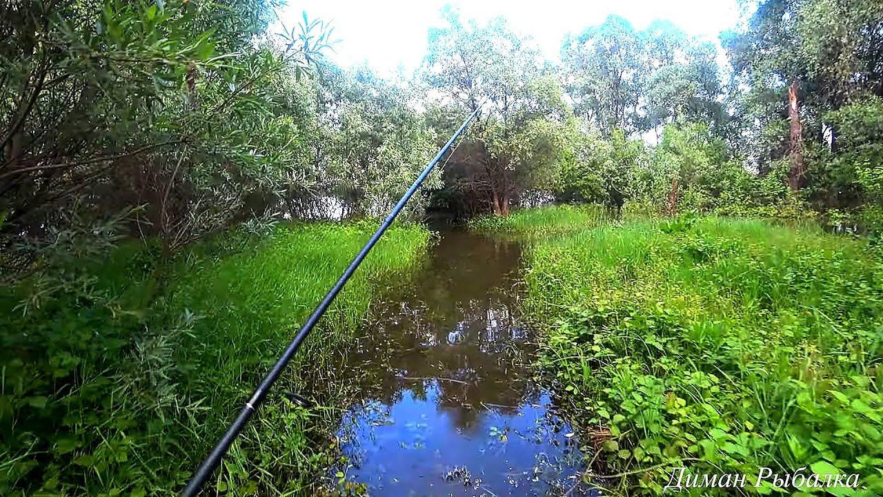 РЫБАЛКА ПО ШЕЮ В ВОДЕ! ПРИШЕЛ В ЗАТОПЛЕННЫЙ ЛЕС И КАК ДАВАЙ ТЯГАТЬ НА СПИННИНГ! рыбалка 2023#рыбалка смотреть онлайн