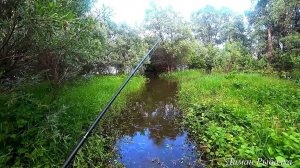 РЫБАЛКА ПО ШЕЮ В ВОДЕ! ПРИШЕЛ В ЗАТОПЛЕННЫЙ ЛЕС И КАК ДАВАЙ ТЯГАТЬ НА СПИННИНГ! рыбалка 2023#рыбалка