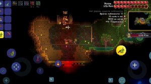 убийство королевы пчёл на эксперте за призывателя terraria