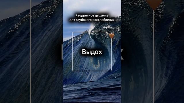 Дышите спокойно и медленно через нос. 5-7 минут будет достаточно. Занятия по йоге на канале #йога