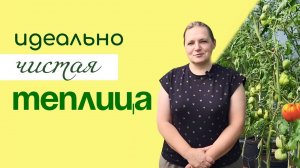 Выращиваем ЗДОРОВЫЙ урожай в ПРАВИЛЬНОЙ теплице