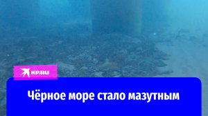 Чёрное море стало мазутным: дрон снял, что происходит на дне