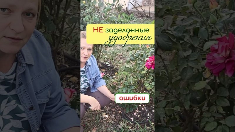 ОШИБКА при внесении УДОБРЕНИЙ