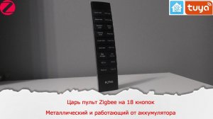 Царь пульт Zigbee Foria на 18 кнопок, металлический и работающий от аккумулятора