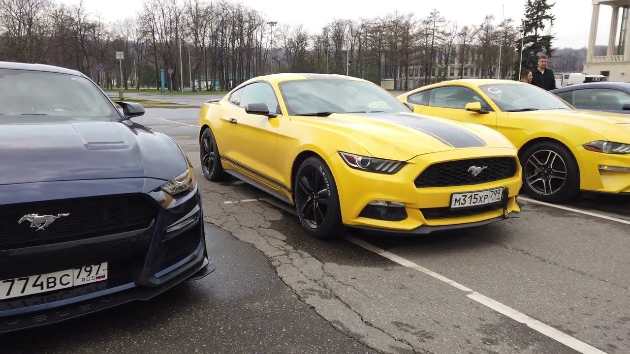 Russian Mustang Club. День Рождения Мустанга 2022