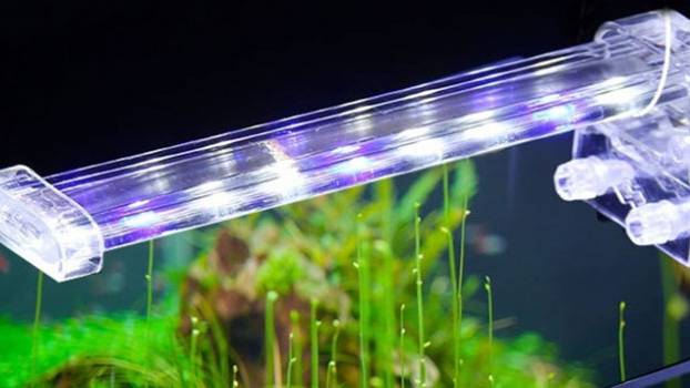 Освещение аквариума. Что лучше применять. Часть 3 смотреть онлайн
