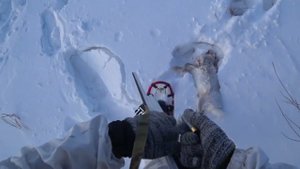 Охота на зайца русака, сезон 2022-2023 №152.