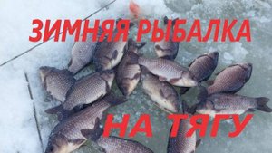 Зимняя рыбалка на тягу на карася 2025