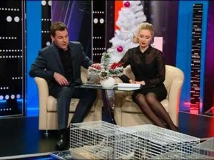 Добрый вечер, Гомель! 28 12 2016 Символ 2017 года  Фен шуй  Новогодний handmade