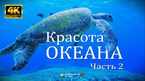 Красота океана - Релаксирующее видео ПЛАНЕТА 4К. Часть 2