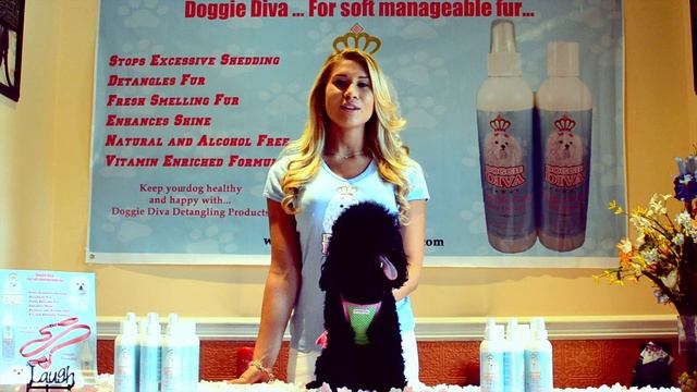 Doggie Diva ... Paws Down The Best Dog Fur Detangler