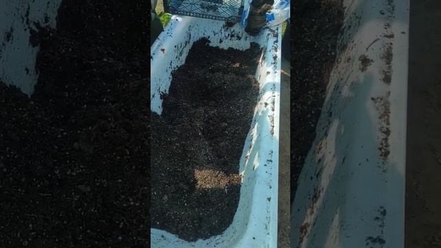 14 июня 2023 г. смотреть онлайн