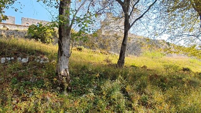 Новый Афон.  Идем на Иверскую гору.