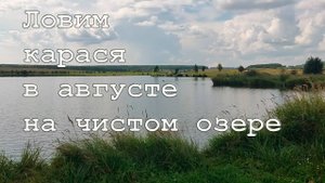 Ловим карася в августе на чистом озере