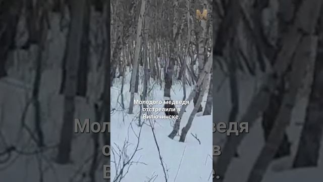 ГЛАВНОЕ ЗА МИНУТУ | 16.01 #камчатка #новости