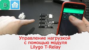 Управление нагрузкой со смартфона модулем Lilygo T-relay в Esphome и Home Assitant