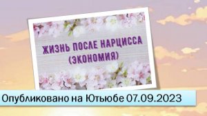 Жизнь после нарцисса (экономия) (07.09.2023)