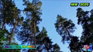 АЛЁНА  РОСС. ЛЮБЛЮ ТЕБЯ Я ДО ЛУНЫ. NEW 2025 .