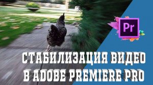 Стабилизация в Premiere