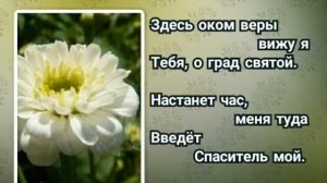 221 О город вечной красоты (-)