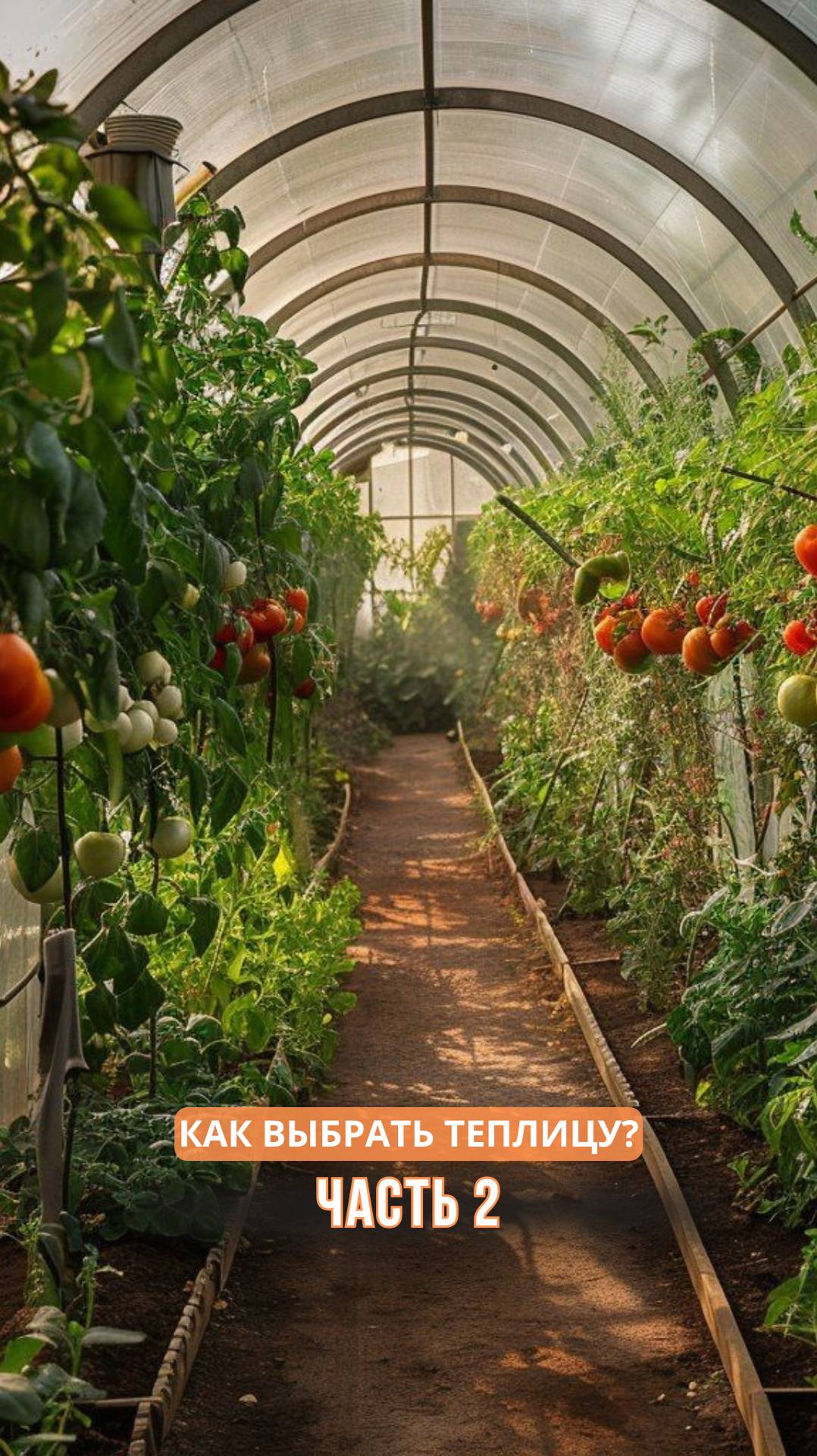 Как выбрать теплицу? часть 2 смотреть онлайн