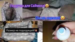 17.11.2023 Унылые дни,тоска серая!🥴Шпатель,шпатлёвка..РЕМОНТ___👩🚒ВАЛДБЕРРИС-ЧТО КУПИЛА!🛒🪙