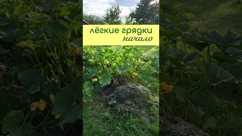 ЛЁГКИЕ грядки - начальный этап