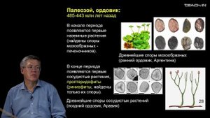 Дубынин В.А. - 100 часов школьной биологии - 2.28. Возникновение жизни. Эры и периоды
