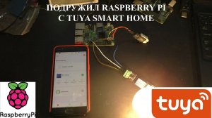 Создание нового устройства из Raspberry pi в системе умного дома Tuya Cloud