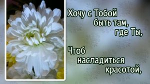 217 Хочу с Тобой быть там, где Ты (-)